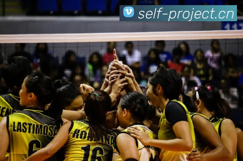 必一·运动(BSport)官方网站 - Official Platform平台生态图